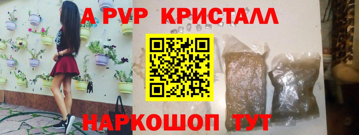 Бошки Шишки Можга