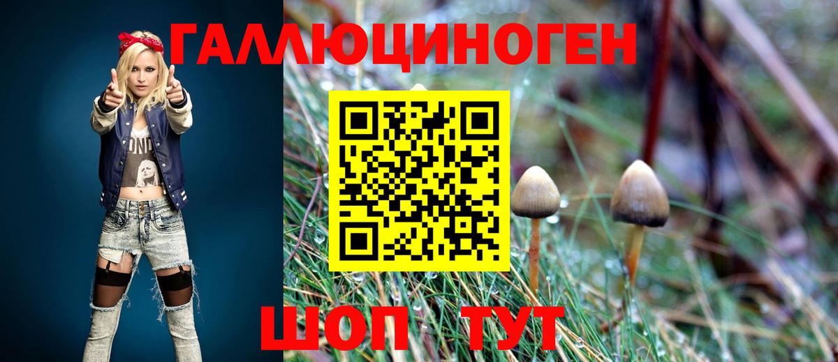 купить наркотики сайты  Вход с VPN  Можга  Псилоцибиновые грибы Cubensis 